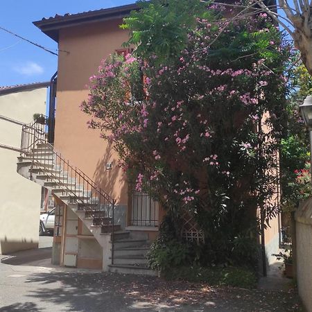 Borghetto 36 Lägenhet Bologna Exteriör bild